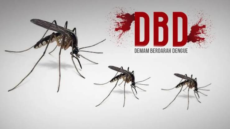 Waspada! Kasus DBD Melonjak, Desember Diprediksi Puncaknya